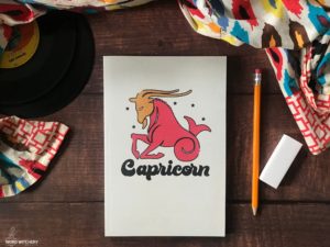 Capricorn : Retro Astrology Journal